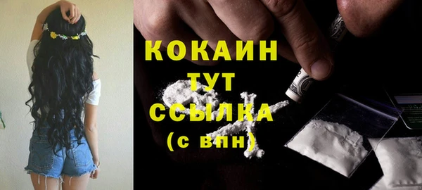 МДПВ Бронницы