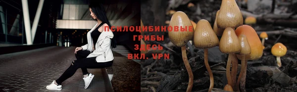 мдма Бородино