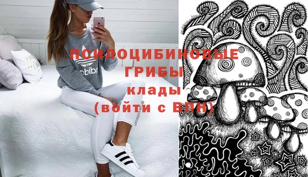 синтетический гашиш Новодвинск