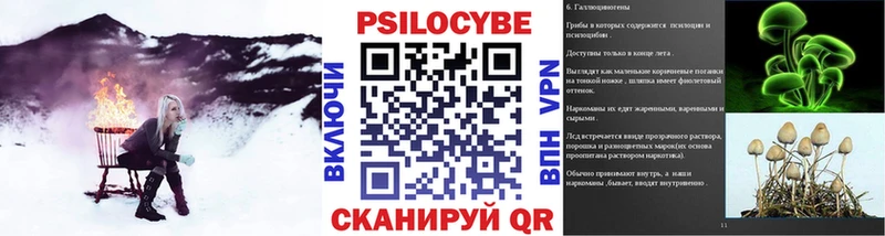 KRAKEN вход  Белоозёрский  Галлюциногенные грибы Psilocybine cubensis 